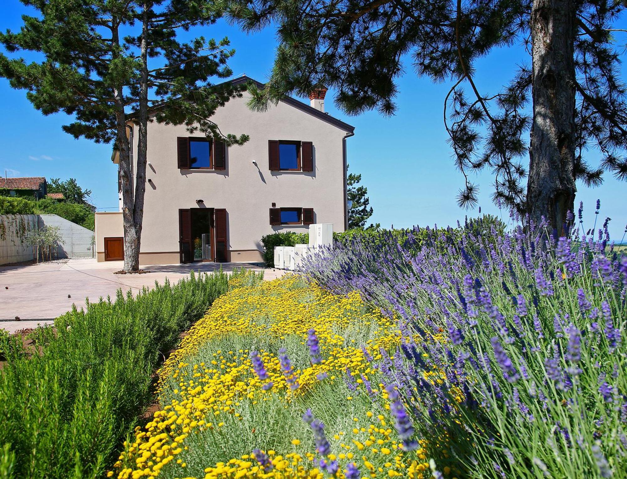 Luxury Villa Gradin Gracisce Екстер'єр фото